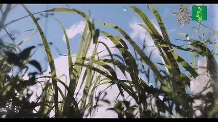 José Jhan presenta su colección POLANCO en formato audiovisual