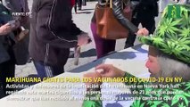 Marihuana gratis para los vacunados de covid-19 en Nueva York