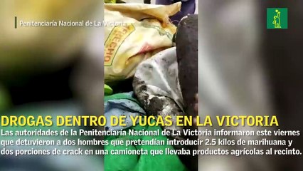 Hombres intentaron entrar marihuana en yuca y ñame a la cárcel de La Victoria