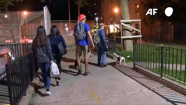 Los asesinos de ratas de Nueva York: perros y sus dueños a la caza de roedores