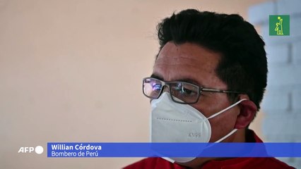El Salvador entrena perros para detectar covid-19 en aeropuerto.