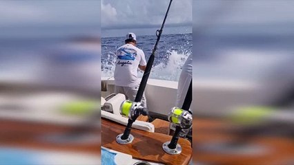 Torneo de pesca al Marlin Blanco en Cabeza de Toro
