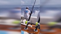 Torneo de pesca al Marlin Blanco en Cabeza de Toro