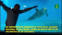 Un sorprendente momento se vivió en el Acuario  Nacional de Baltimore.