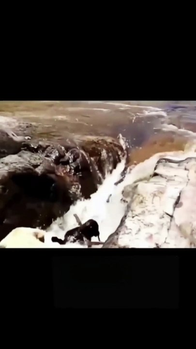 Rescue
