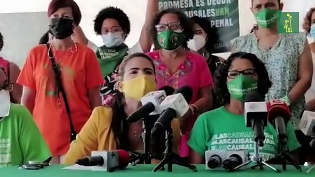 Integrantes del movimiento a favor de las tres causales rechazaron la aprobación del Código Penal Dominicano.