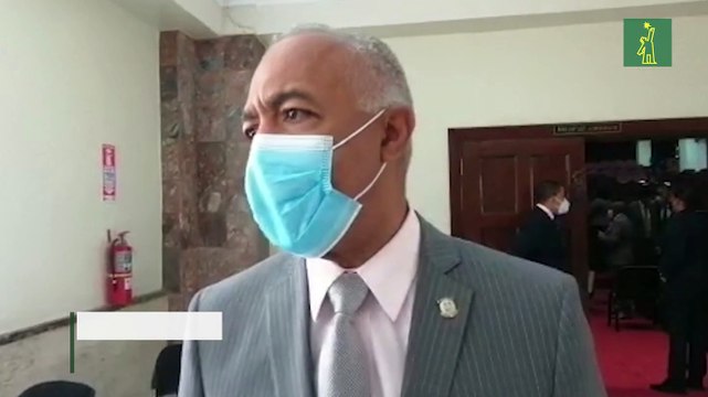 Cámara de Diputados aprueba préstamo por US$300 MM para apoyar emergencia generada por el covid-19