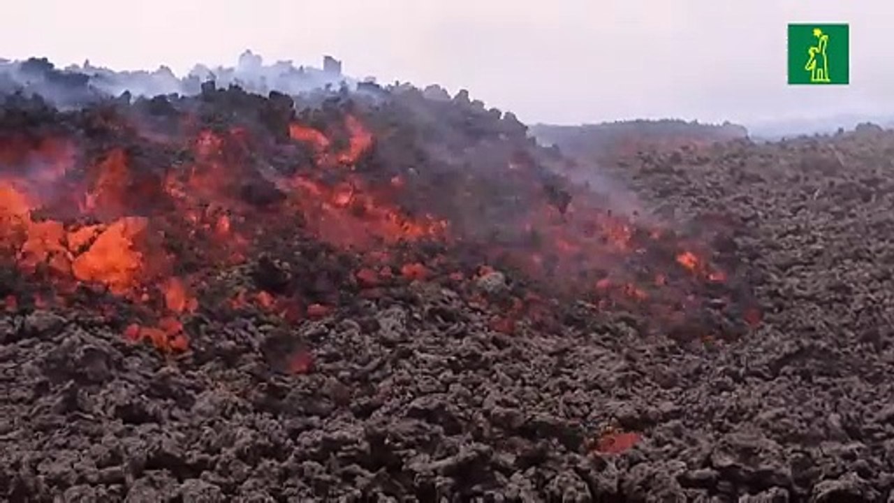 Volcán Pacaya se reactiva en Guatemala y genera nuevo flujo de lava