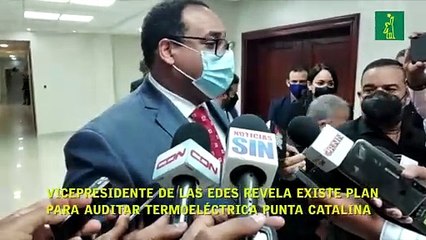 Vicepresidente de las EDEs revela existe plan para auditar Termoeléctrica Punta Catalina