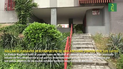Hallan el cadáver descompuesto de una anciana comida por sus gatos en Madrid