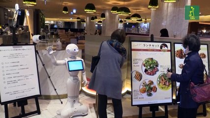 ¡Hasta pronto Pepper! Suspenden la producción del robot japonés por la falta de demanda
