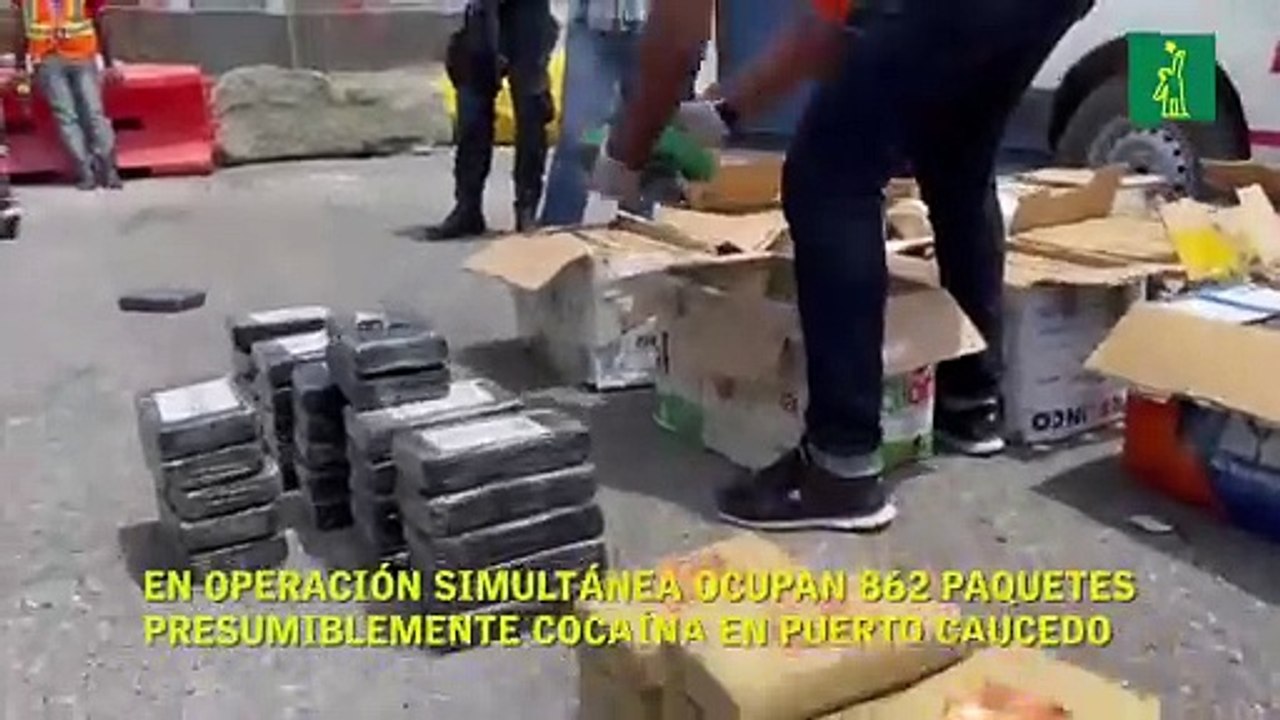 Ocupan 862 paquetes de cocaína en puerto Caucedo
