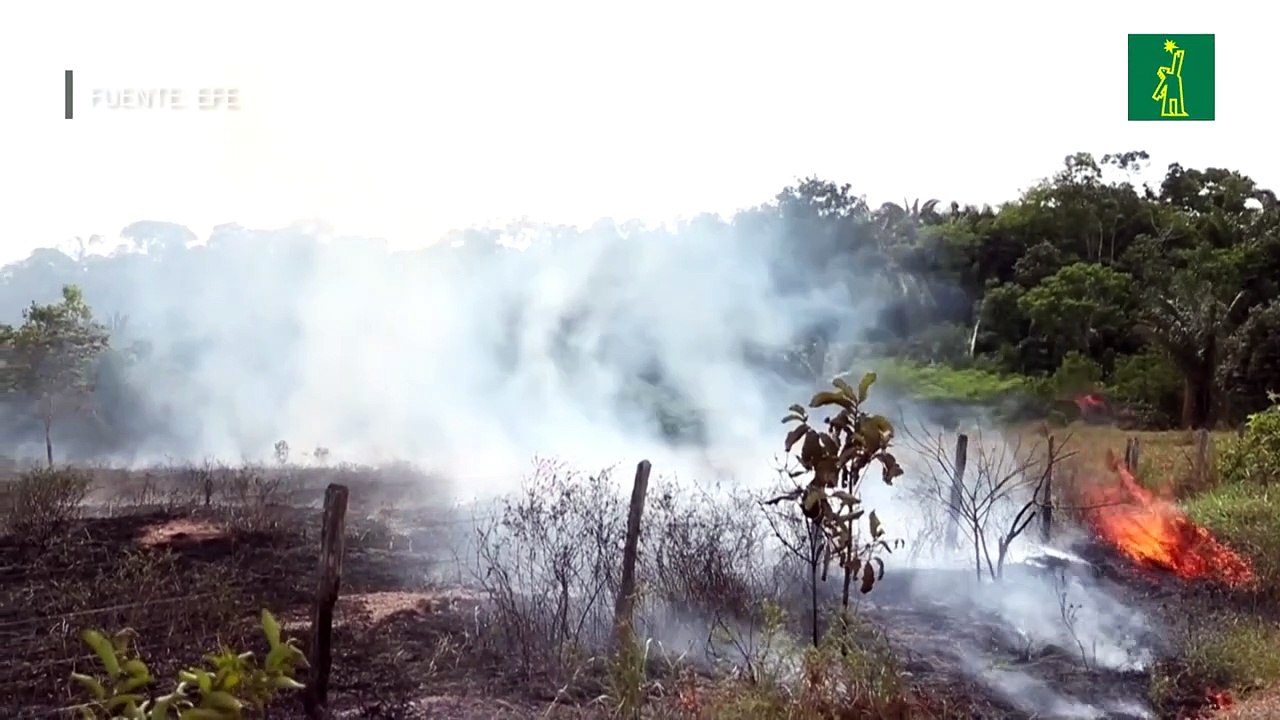 La Amazonía brasileña registra en junio mayor número de incendios desde 2007
