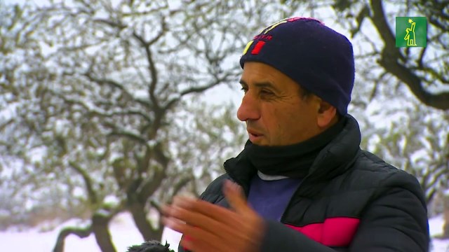 Nieve cubre provincia de Córdoba, por primera vez en 14 años.