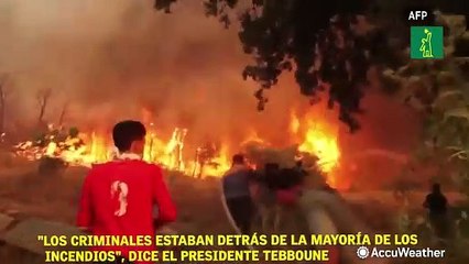 "Los criminales estaban detrás de la mayoría de los incendios", dice el presidente Tebboune
