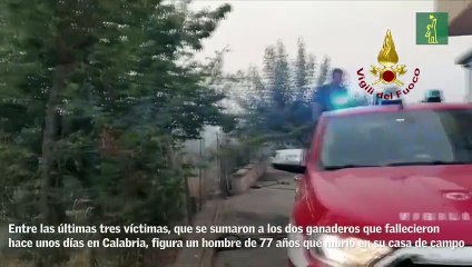 Los incendios devoran el sur de Italia y se cobran 5 víctimas