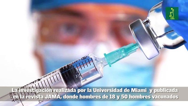 Estudio revela que Las vacunas de Pfizer y Moderna podrían aumentar la cantidad de semen que producen los hombres.