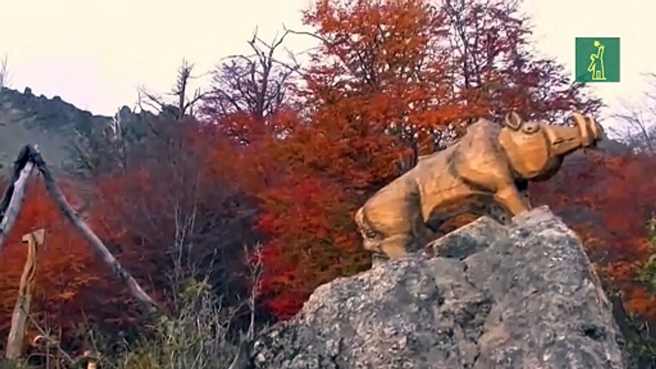 El “Bosque Tallado” nace de las cenizas de un cerro argentino