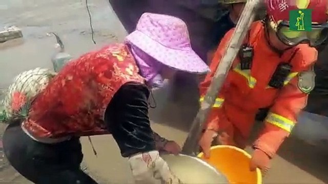 Mueren 3 ballenas y rescatan a otras 9 tras quedar varadas en costas chinas