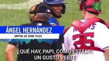 La cura de Soto y Vlady en la MLB Dominicana