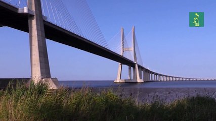 La almeja japónica del Tajo, de un "experimento medioambiental" a tóxica para el consumo