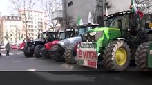 Milano, protesta degli agricoltori: "Copertura mediatica solo se ci sono le elezioni"