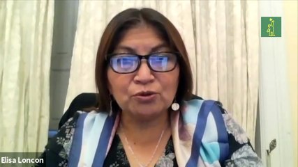 Un mes de la Constituyente en Chile, de la desconfianza a comenzar a trazar el rumbo