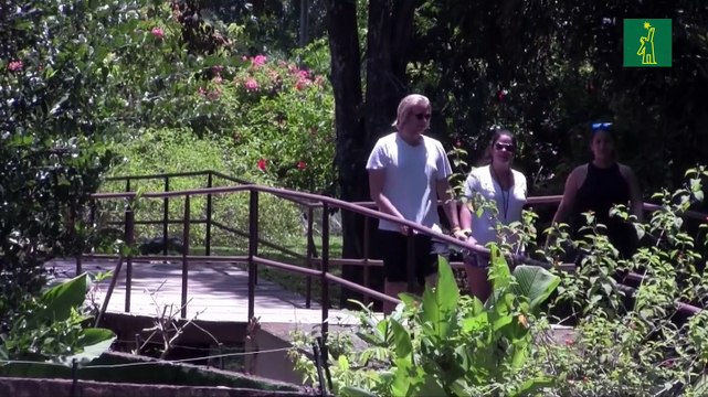 Un hogar seguro en Panamá para los animales salvajes huérfanos y enfermos