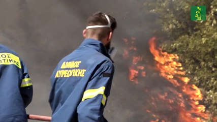 Nuevo incendio a 50 km de Atenas, tres poblados evacuados por precaución