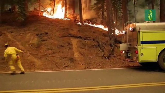 Alerta máxima en California ante la llegada de altas temperaturas que podrían empeorar los incendios