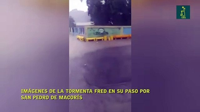 Imágenes de la tormenta Fred en su paso por San Pedro de Macorís