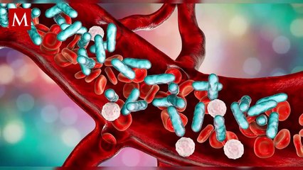 Papa Francisco enfrenta una crisis asmática que lo mantiene en estado crítico