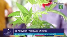 Argentina entrega primeros lotes de cannabis medicinal producidos en el país