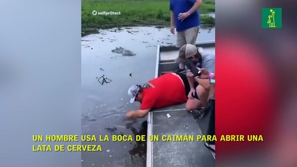 Un hombre usa la boca de un caimán para abrir una lata de cerveza