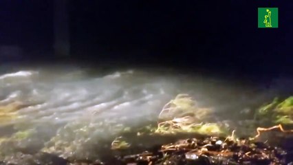 Tormenta tropical Nicholas se debilita tras desembarcar en Texas