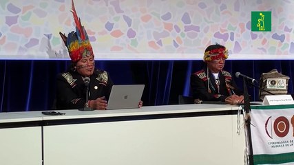 Los pueblos indígenas exigen proteger el 80 % de la Amazonía para 2025