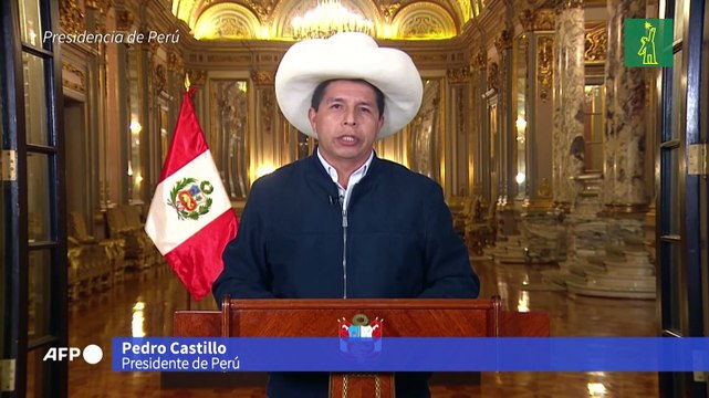 Castillo anuncia instalación de planta de producción de vacunas Sputnik V en Perú