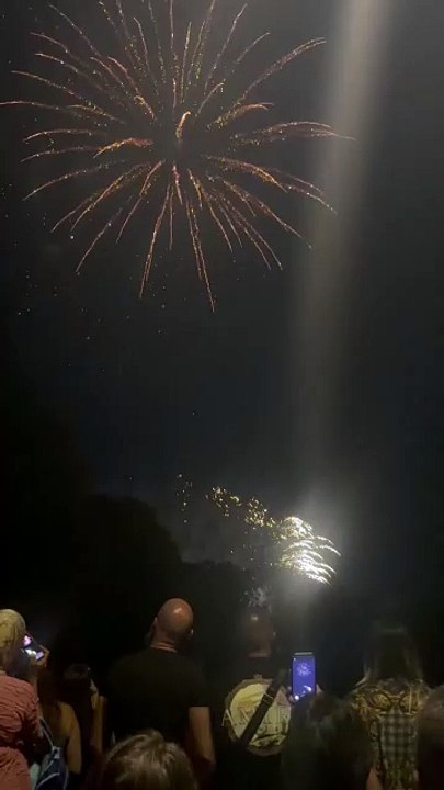 Le Feu d’artifice du 14 juillet 2023  Grenoble #14juillet #fetenational #france #feuxdartifice  (23)