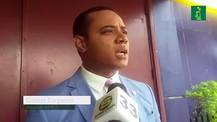 Gaddys Corporan instó al gobierno a cerrar la PN y crear otro organismo que garantice la seguridad de país