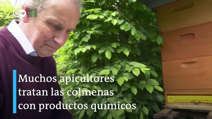 En Alemania están fabricando la colmena perfecta