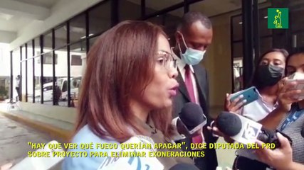 “Hay que ver qué fuego querían apagar”, dice diputada del PRD sobre proyecto para eliminar exoneraciones