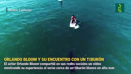 Orlando Bloom y su encuentro con un tiburón que quedó captado en video