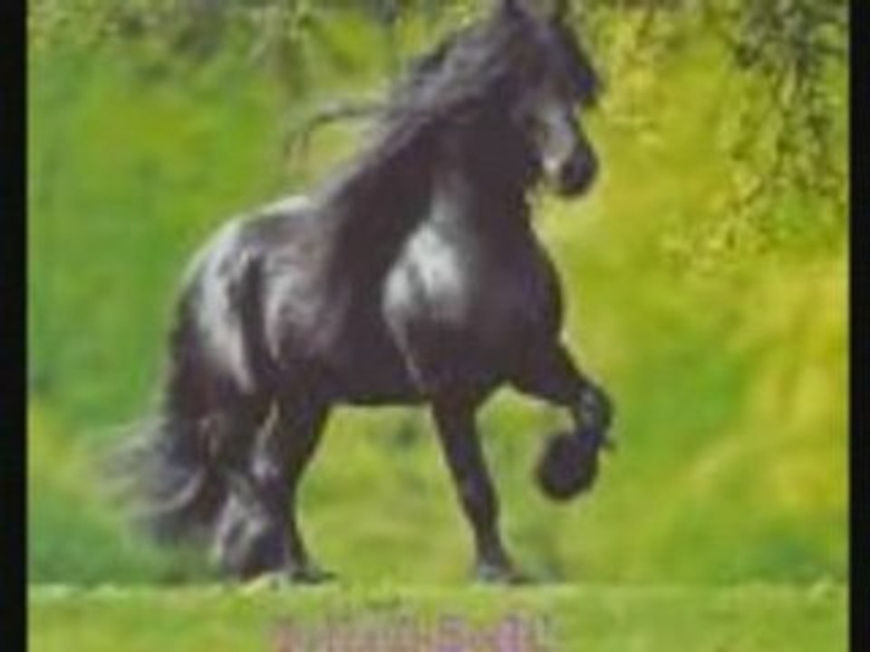 FRISON