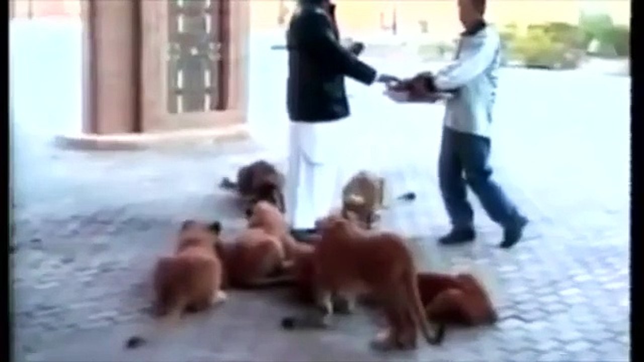 وثائقي نادر عن حياة صدام حسين وأسرار تنشر لأول مرة