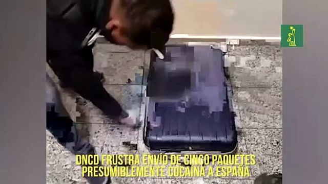 DNCD frustra envío de cinco paquetes presumiblemente de cocaína a España