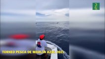 Torneo de Pesca Marlín Azul 2021