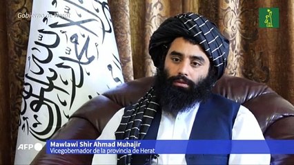 Los talibanes cuelgan los cadáveres de cuatro secuestradores en plazas de Afganistán