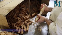 Fairy Meadow Cannoli Day | Illawarra Mercury | February 23, 2025.