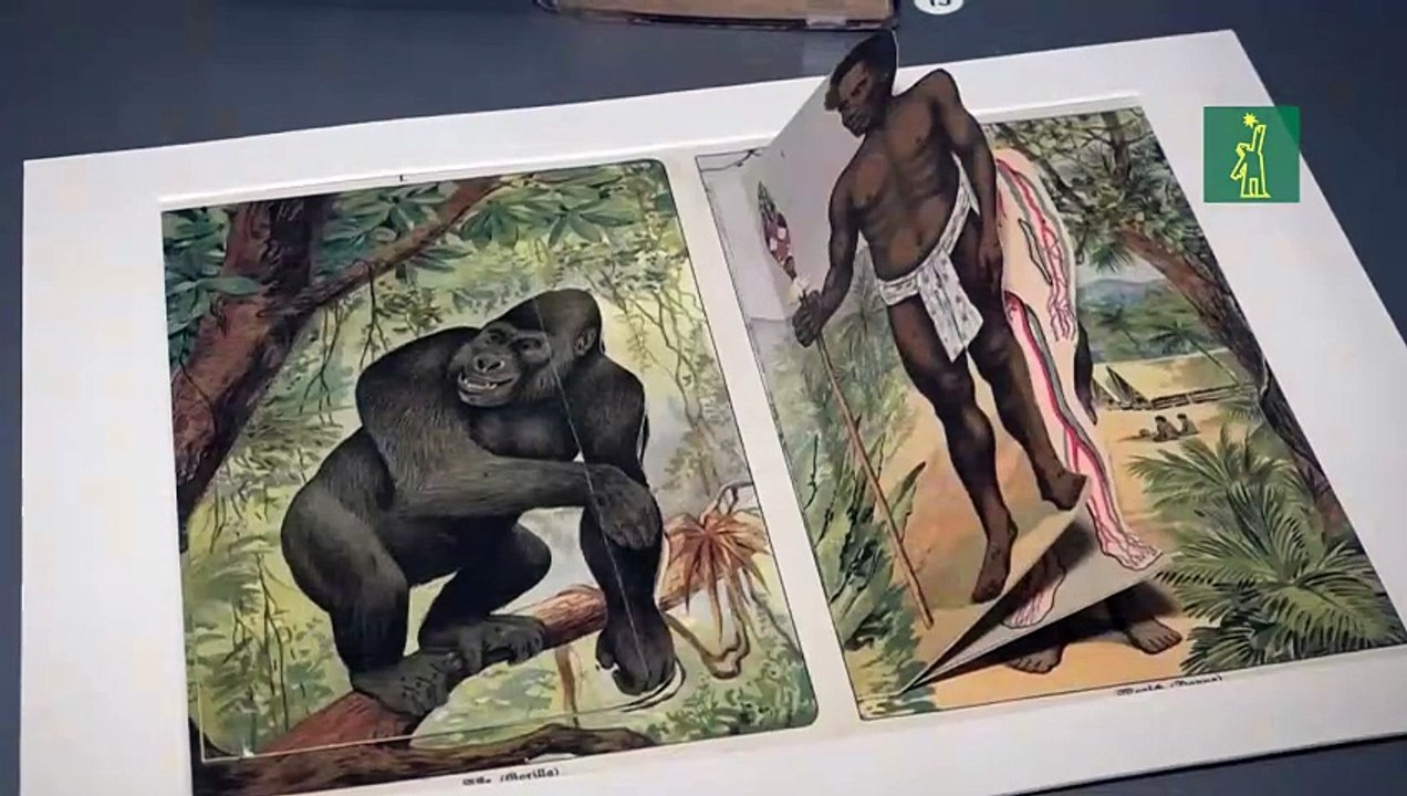 Bélgica revisa su pasado colonial en una exposición sobre zoológicos humanos