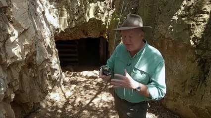 Fósiles hallados en Sudáfrica reabren el misterio de los lejanos primos del hombre